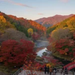 best places to see autumn leaves japan