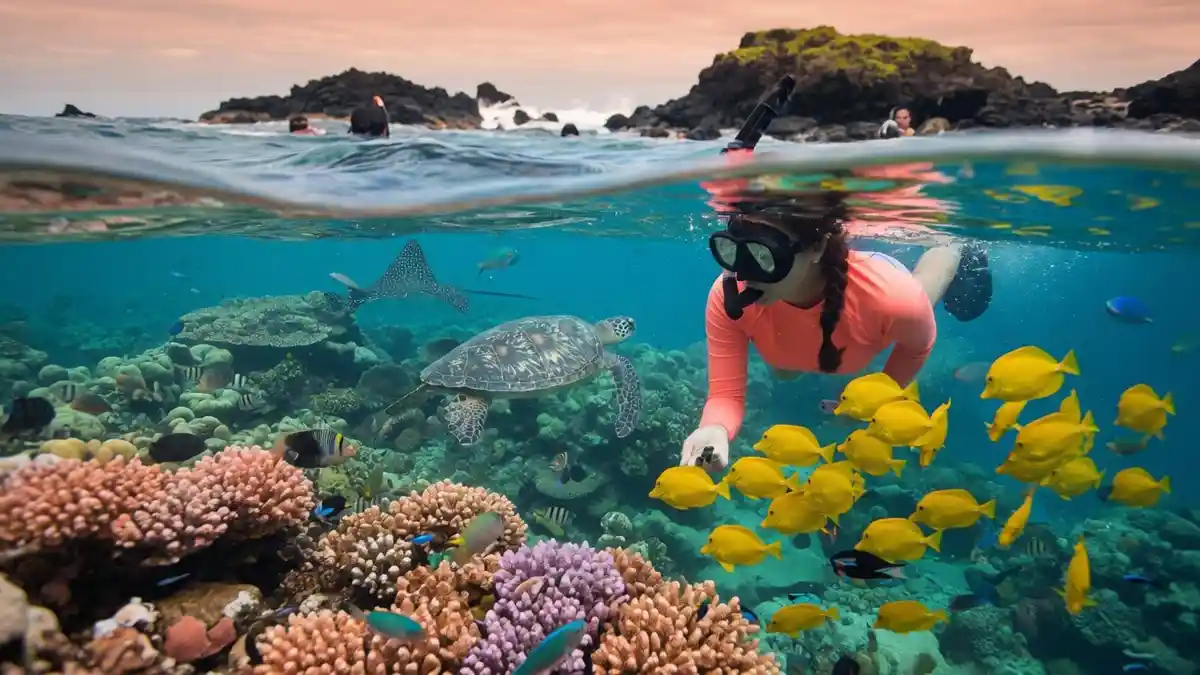 best places to snorkel in hawaii