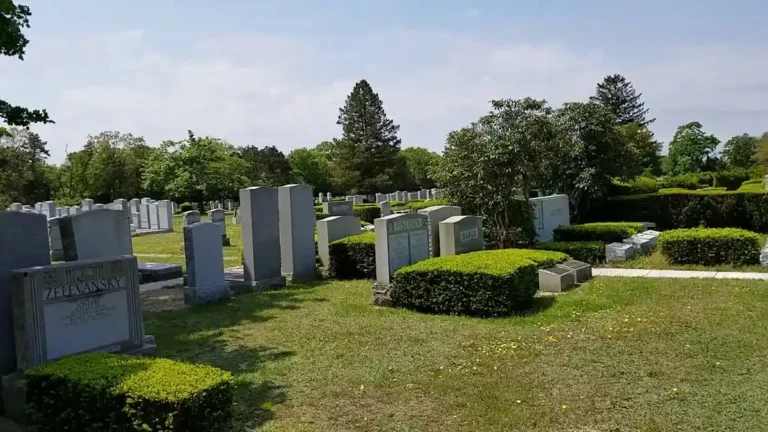 new montefiore cemetery