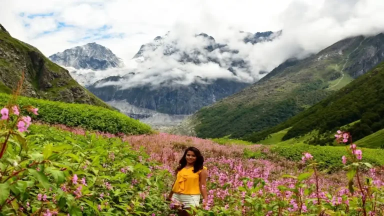 flower travel