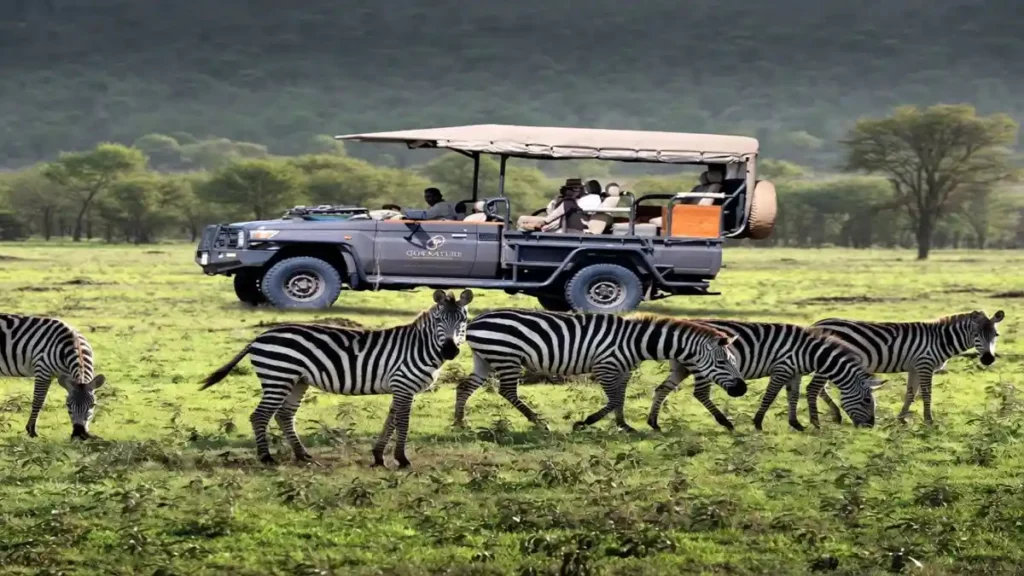 serengeti